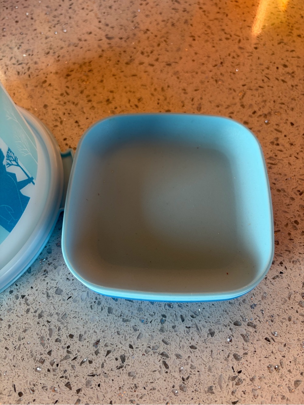 Tupperware Frozen kids cake holder and plates.
